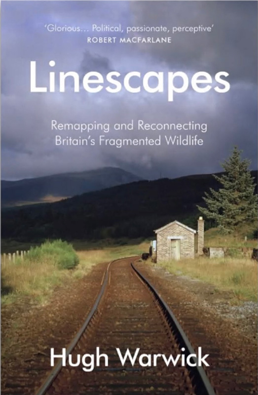 Linescapes (Click to enlarge) Linescapes (Click to enlarge)